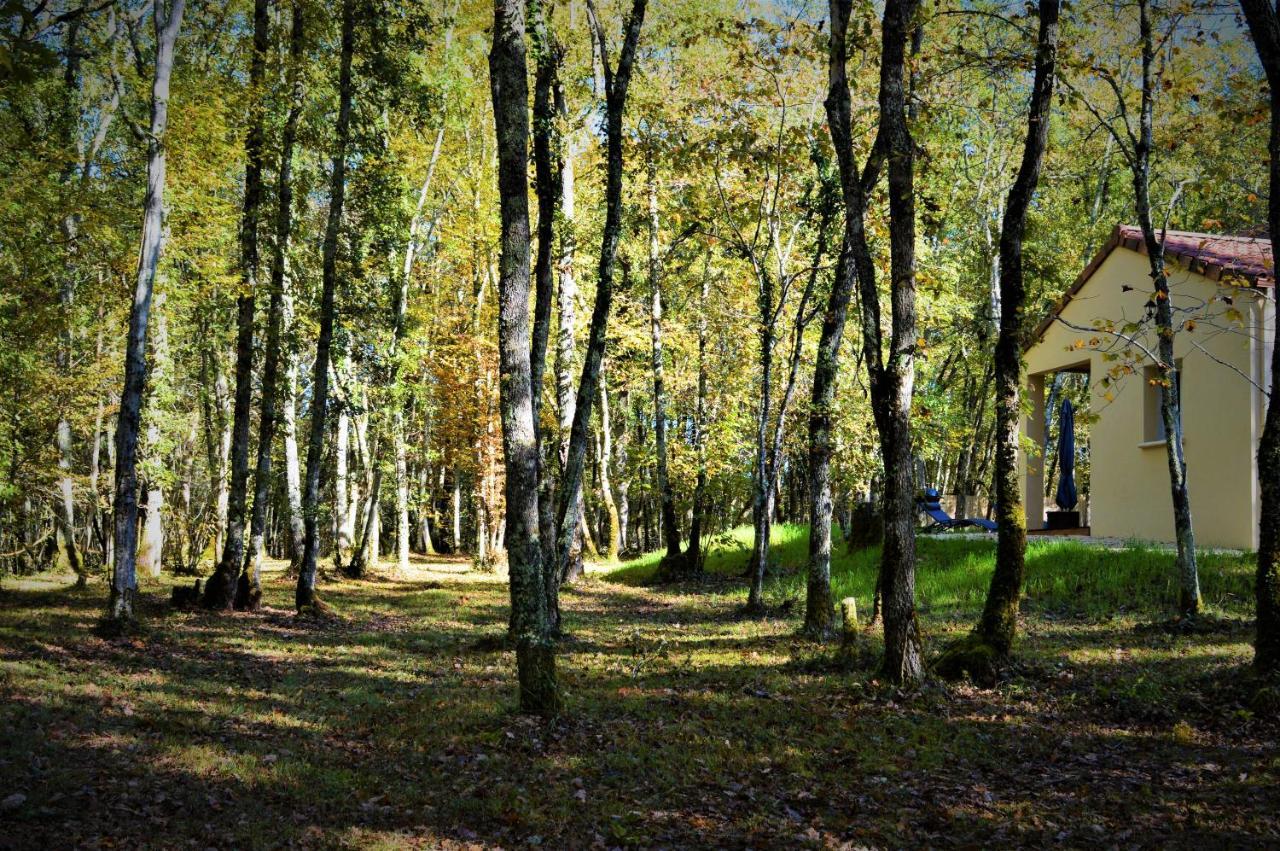 Gite Spa & Nature Saint-Chamassy Екстериор снимка